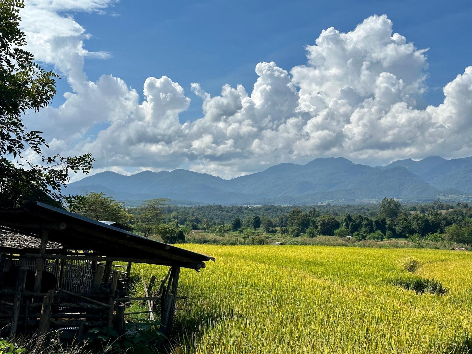 Pura Vida Pai Resort Extérieur photo